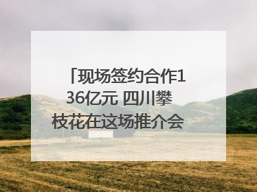 现场签约合作136亿元 四川攀枝花在这场推介会上画“图谱”列“清单”
